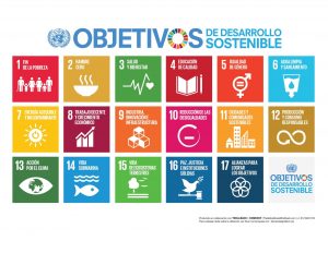 ARTÍCULO: Replanteamiento de la Agenda 2030: mirada desde la Sociología